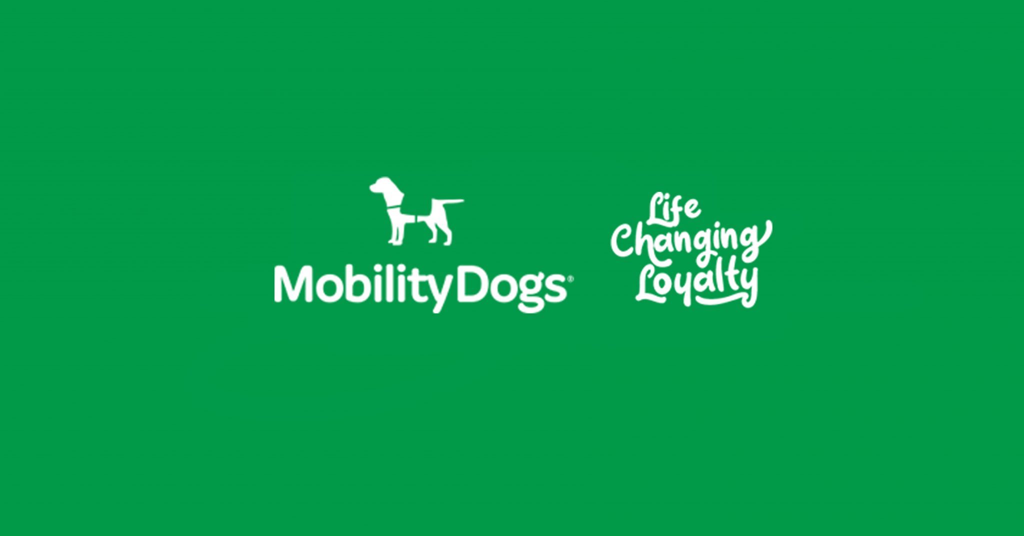 Mobility Dogs Chillisoft